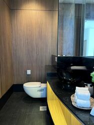 Lumiere (D2), Apartment #579227661